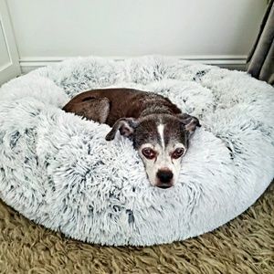 Meet your Posher, Meredith